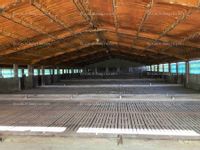 Fotos de A la venta granja de cerdos