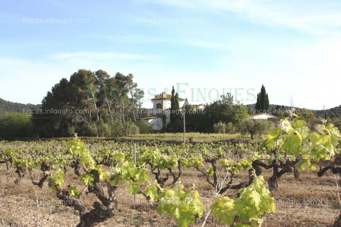 Fotos de A la venta finca agrícola com masia rural y de vigilantes en muy buen estado.