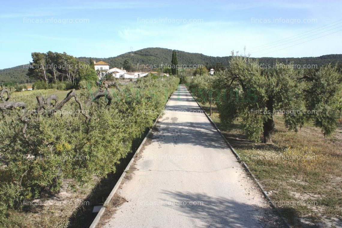 Fotos de A la venta finca agrícola com masia rural y de vigilantes en muy buen estado.