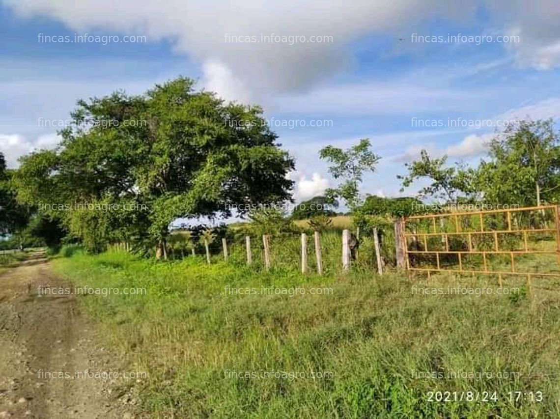 Fotos de A la venta 80 hectáreas de tierra