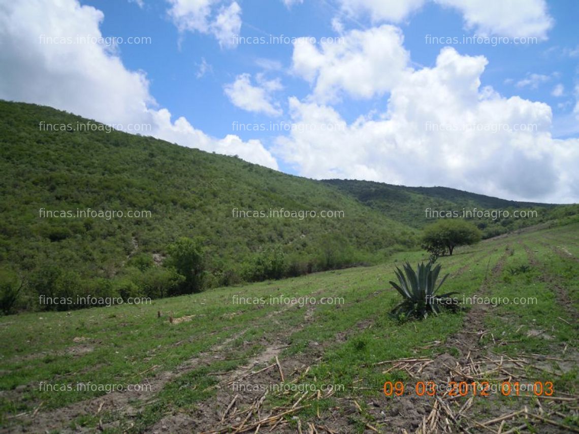 Fotos de A la venta magnifico rancho ganadero de 1500 a 4000 hectáreas con ríos y llacimientos