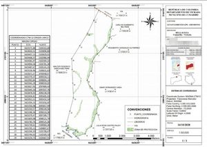 Vendo gran oportunidad de inversión, finca en el placer vichada