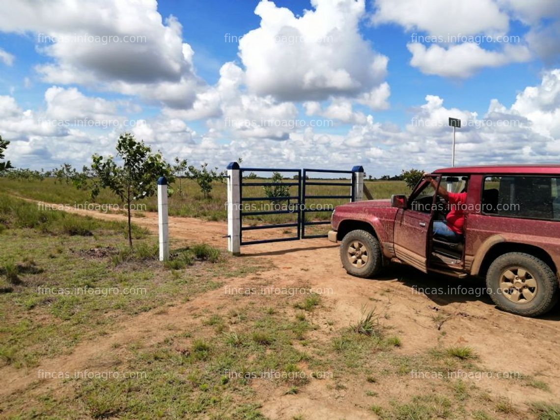 Fotos de Vendo gran oportunidad de inversión, finca en el placer vichada