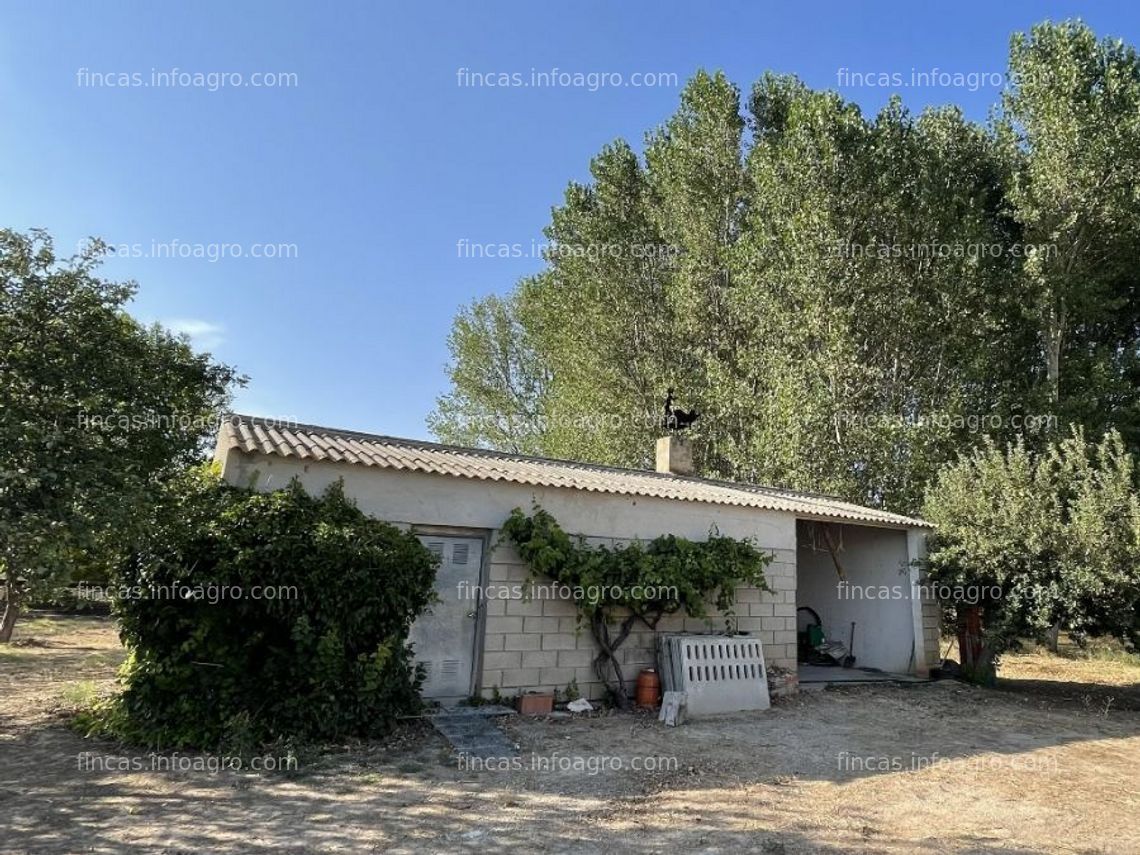 Fotos de A la venta granja porcina en burgos