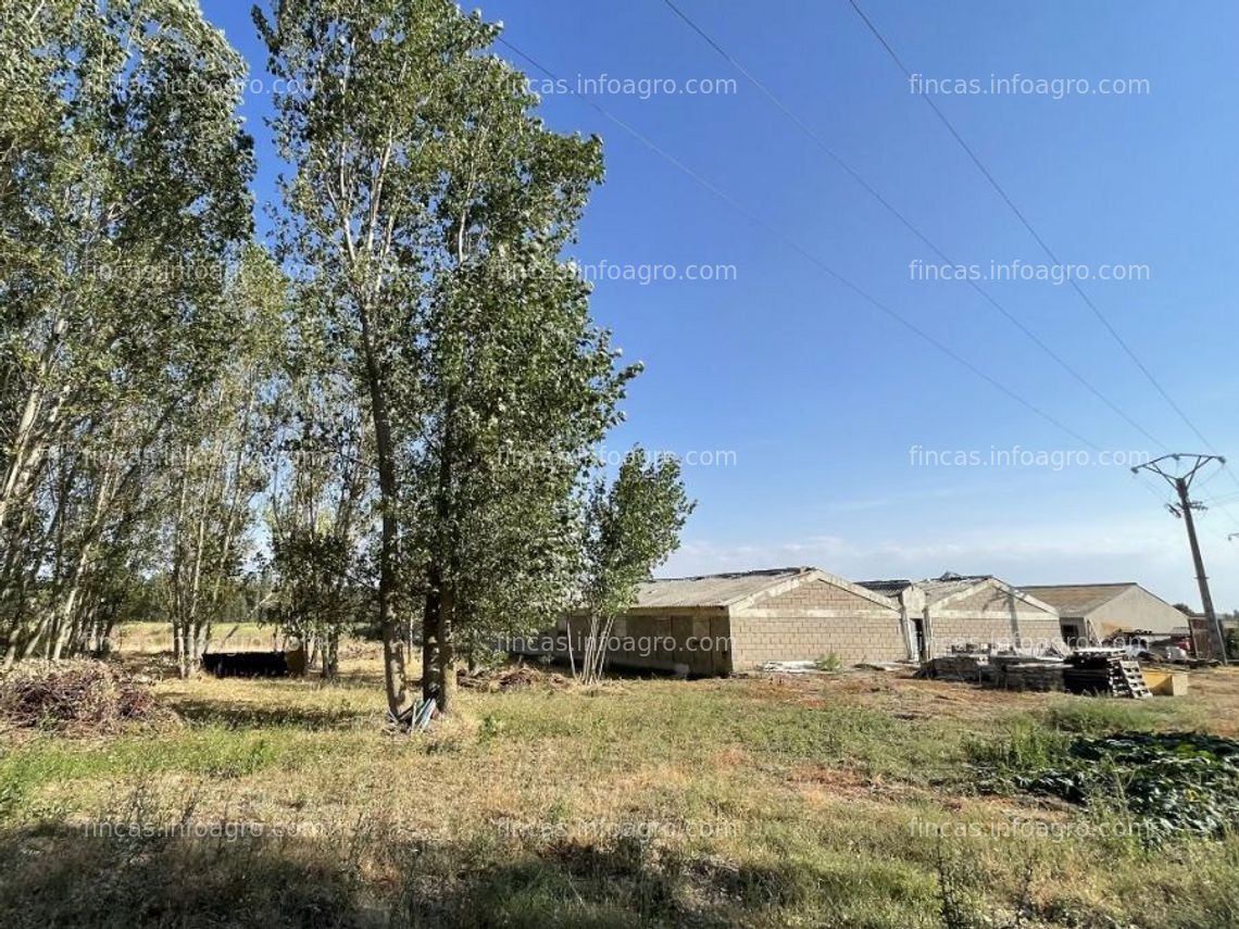 Fotos de A la venta granja porcina en burgos