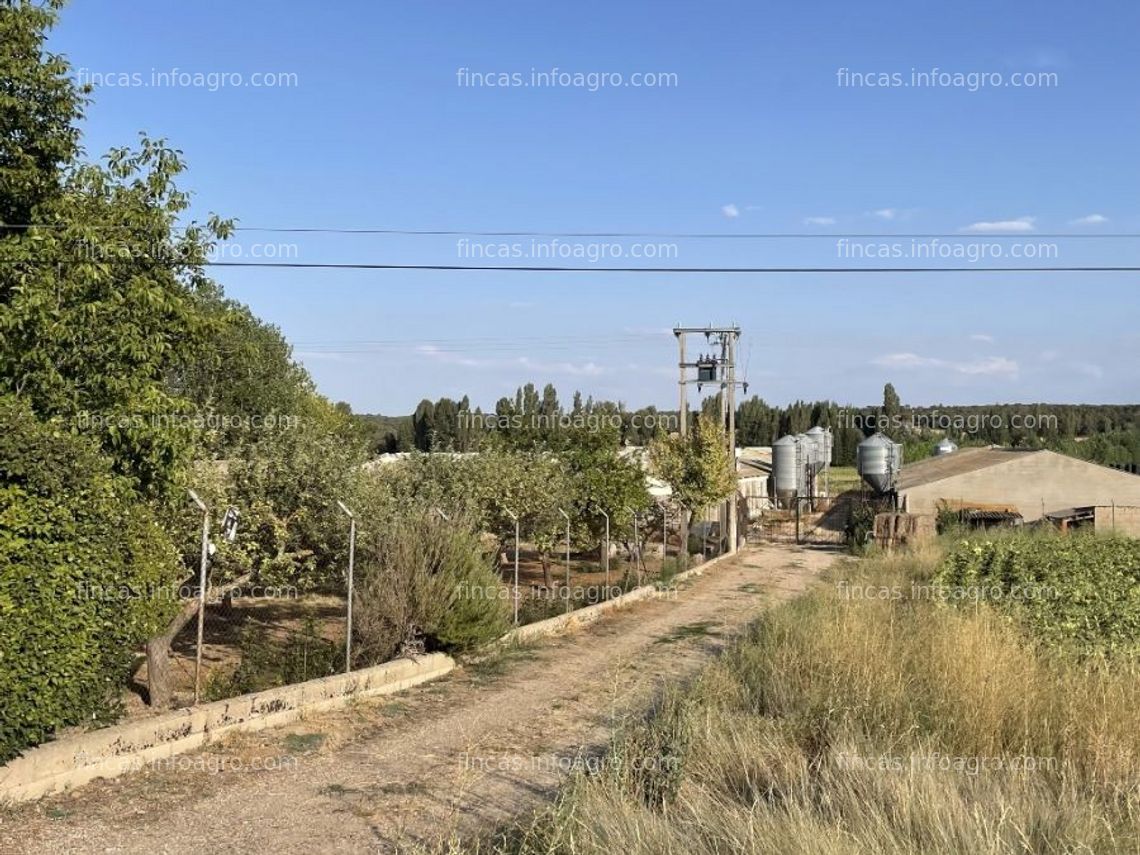 Fotos de A la venta granja porcina en burgos