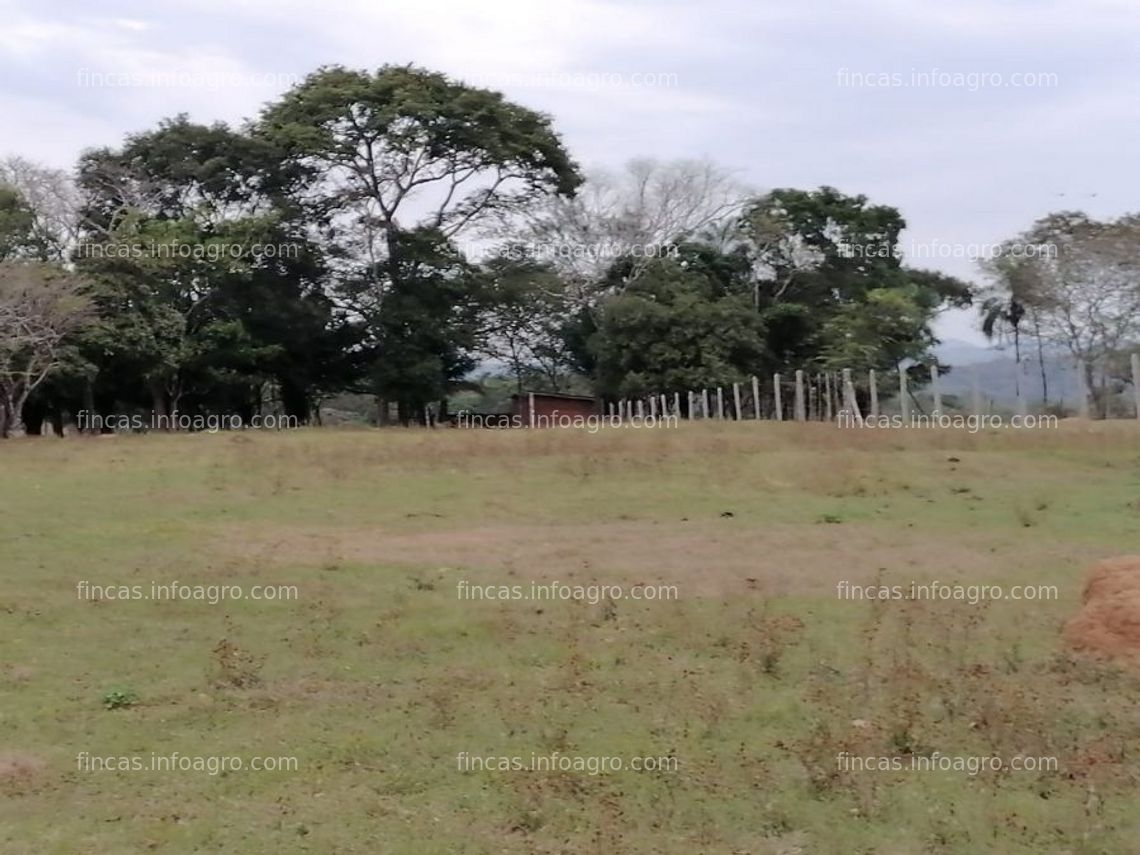 Fotos de En venta  propiedad ganadera  a  50 km de san ramon - sta.cruz - bolivia