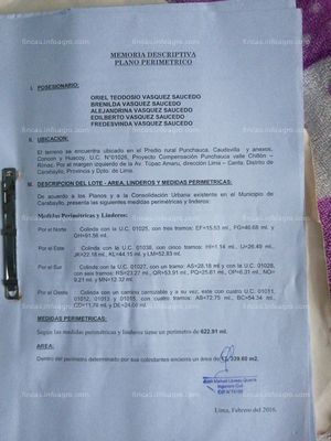 Se vende una hectárea de chacra en lima - carabayllo