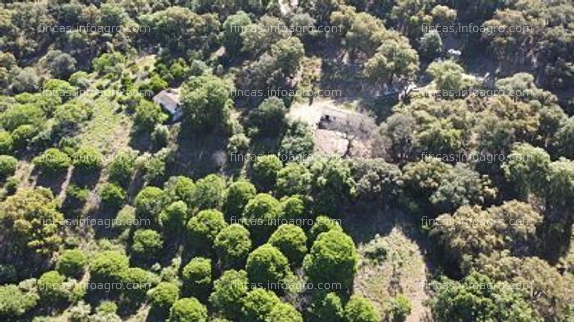 Fotos de A la venta ref. 184 - finca de 27ht de chaparros con varias contrucciones en faraján, málaga