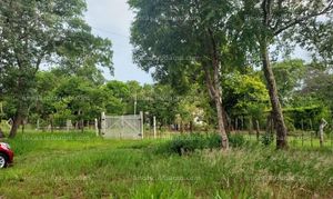 En venta finca 35 hectáreas - santiago de chiquitos - bolivia