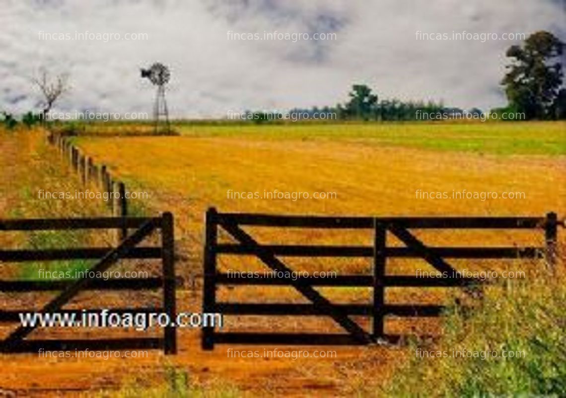 Fotos de En venta  fincas productivas en argentina. atendemos en españa - asesoramos e introducimos a despacho de abogados y notarios