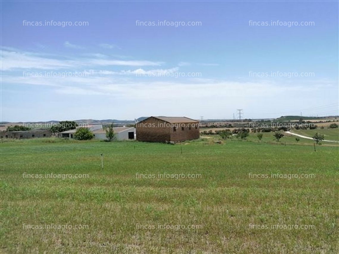 Fotos de Se vende ref. 278 - parcela de 5.5ht de regadío con nave y casa en arcos de la frontera, cádiz