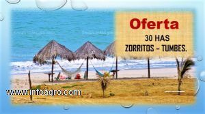 A la venta terreno para sembrio o urbanización.