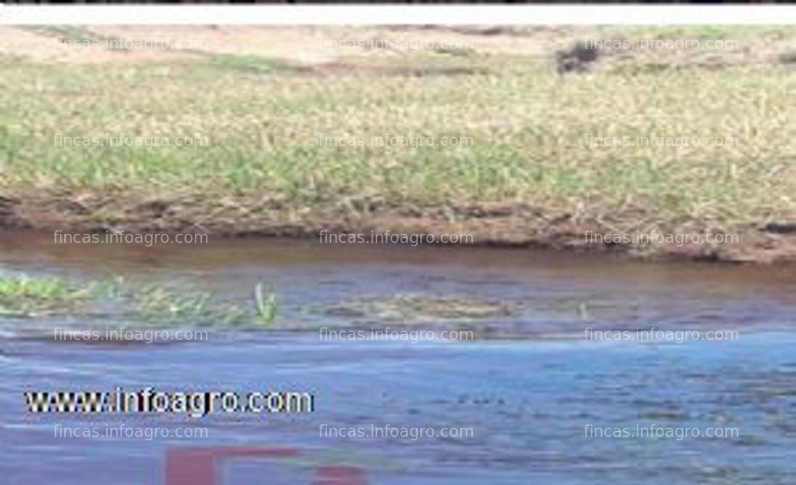 Fotos de A la venta desde marbella - 544 hectáreas agrícolas y ganaderas en argentina - provincia buenos aires