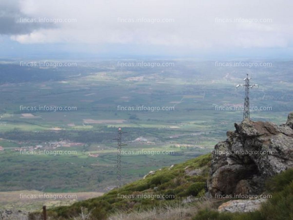 Fotos de A la venta Gran dehesa de montaña en Ávila (zona Gredos)