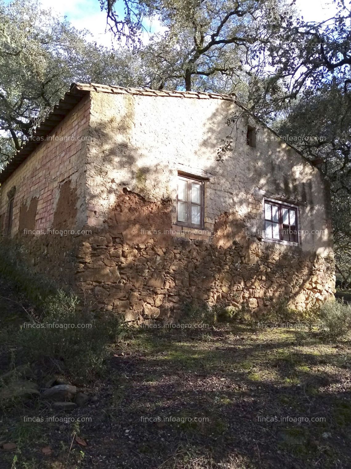 Fotos de En venta  Finca en el Parque Natural Sierra de Aracena 