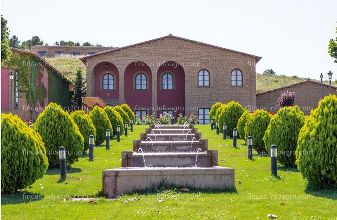 Fotos de A la venta finca de 19 hectáreas de viñedo en regadío y finca de 4 hectáreas de secano en Cariñena