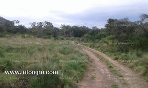 A la venta campo de 1000 has. en formosa - pozo del mortero