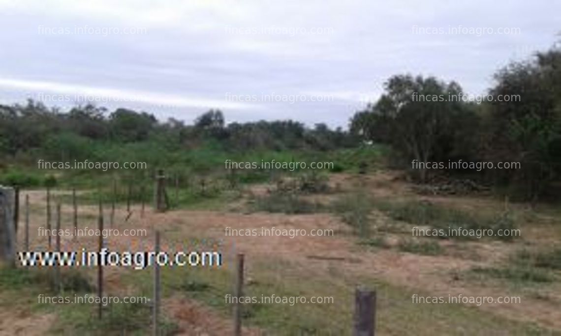 Fotos de A la venta campo de 1000 has. en formosa - pozo del mortero