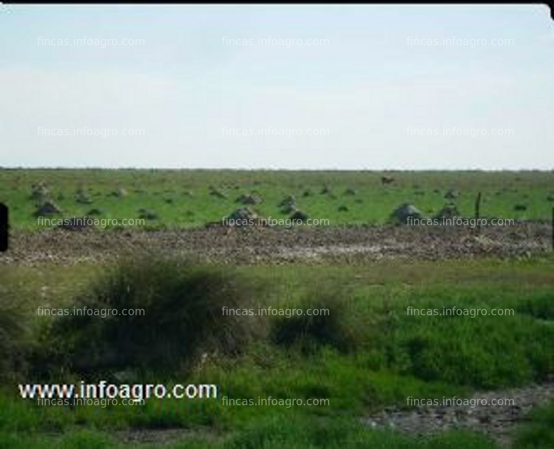 Fotos de Vendo en argentina inmensa finca de 114.000 hectáreas en venta