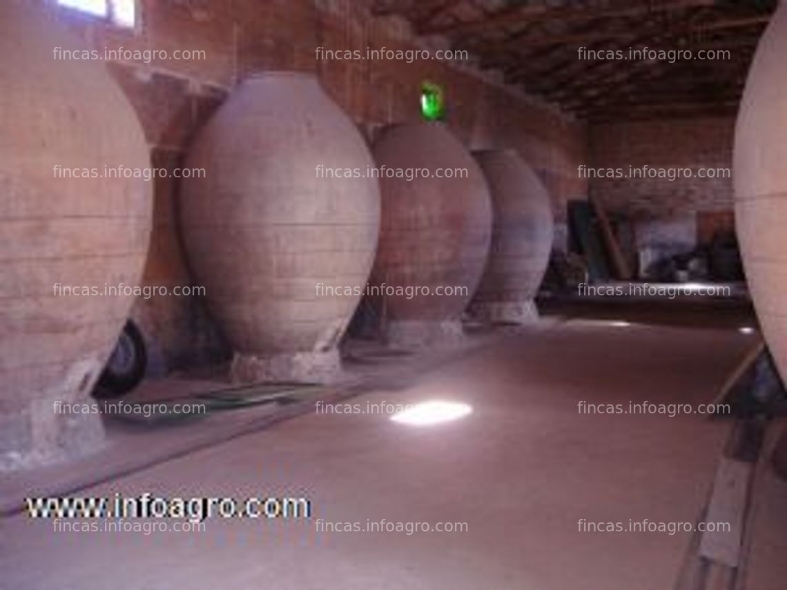 Fotos de Se vende bodega antigua en finca de 6336 m2. Ideal para casa rural, negocio de hosteleria o celebración de eventos.