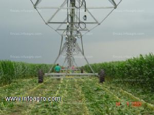 Se vende en argentina, 1.150 hectáreas agricolas ganaderas - gran rentabilidad