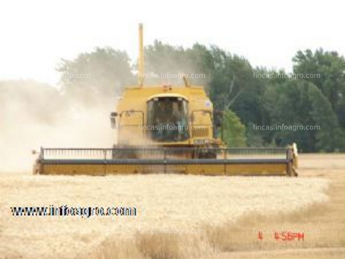 Fotos de Se vende en argentina, 1.150 hectáreas agricolas ganaderas - gran rentabilidad