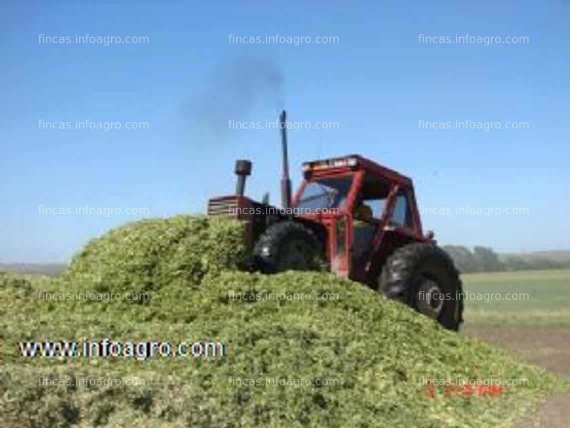 Fotos de Se vende en argentina, 1.150 hectáreas agricolas ganaderas - gran rentabilidad