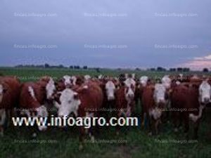 En venta estancia en formosa, argentina. 20.000 hectareas armadas
