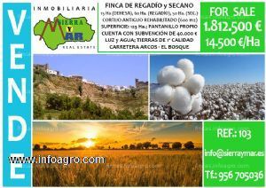 En venta  finca en  ctra. arcos de la frontera - el bosque (cádiz)