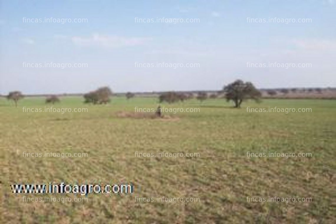 Fotos de A la venta en la pampa (argentina) 2.650 hectáreas - agric. y ganaderas - info en españa