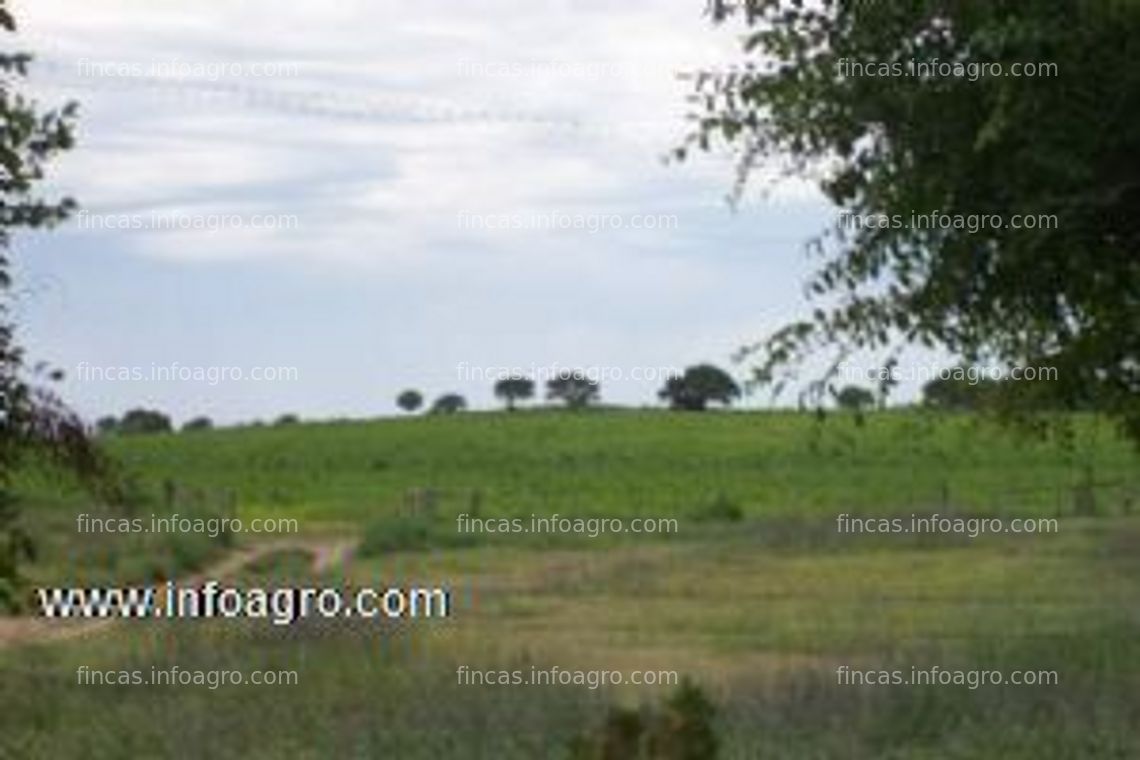 Fotos de A la venta en la pampa (argentina) 2.650 hectáreas - agric. y ganaderas - info en españa