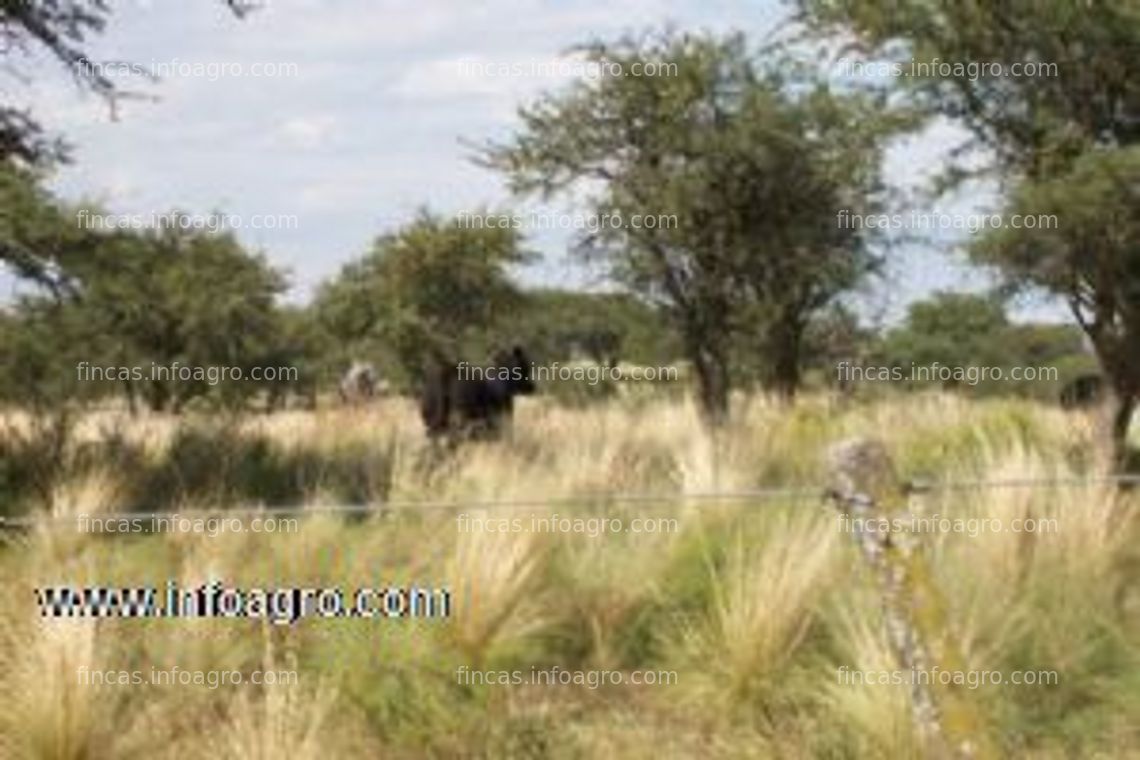 Fotos de A la venta en la pampa (argentina) 2.650 hectáreas - agric. y ganaderas - info en españa