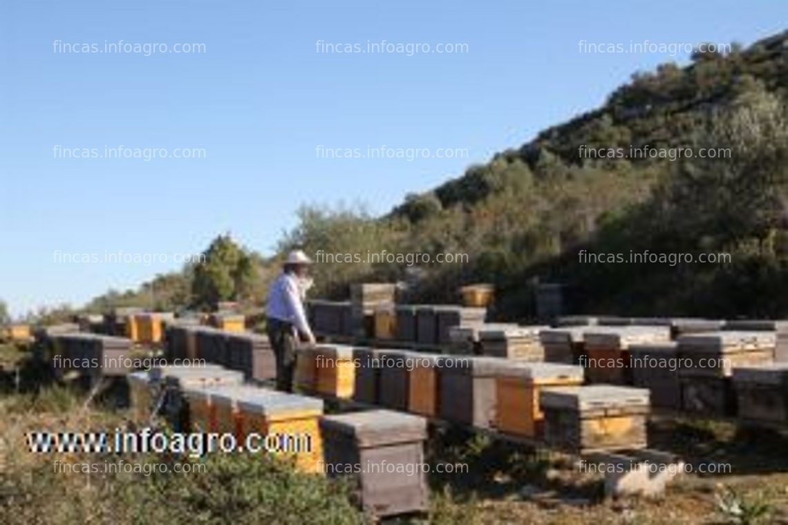 Fotos de Vendo o alquila granja para explotación apícola