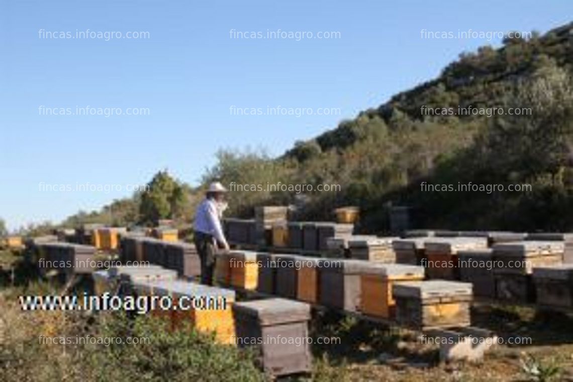 Fotos de Vendo o alquila granja para explotación apícola