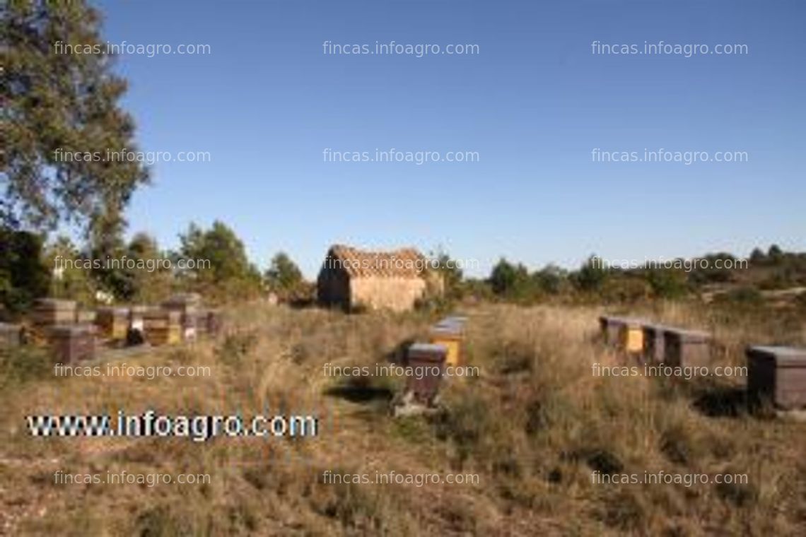 Fotos de Vendo o alquila granja para explotación apícola