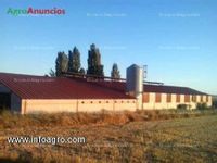 Fotos de A la venta alquilo/nave ganadera, pinilla trasmonte, burgos