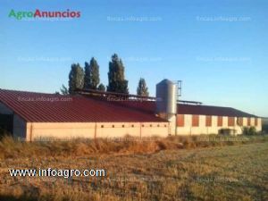 A la venta alquilo/nave ganadera, pinilla trasmonte, burgos