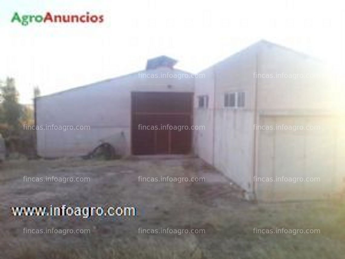 Fotos de A la venta alquilo/nave ganadera, pinilla trasmonte, burgos