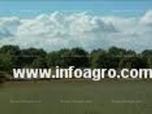 A la venta gran finca dehesa ganadera en extremadura de 1000 hectáreas