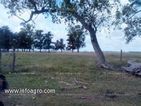 Fotos de En venta  543 has ganaderas - san vicente - oportunidad