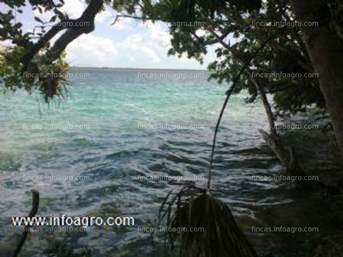 Fotos de A la venta terrenos en orilla de laguna,en quintana roo,mexico