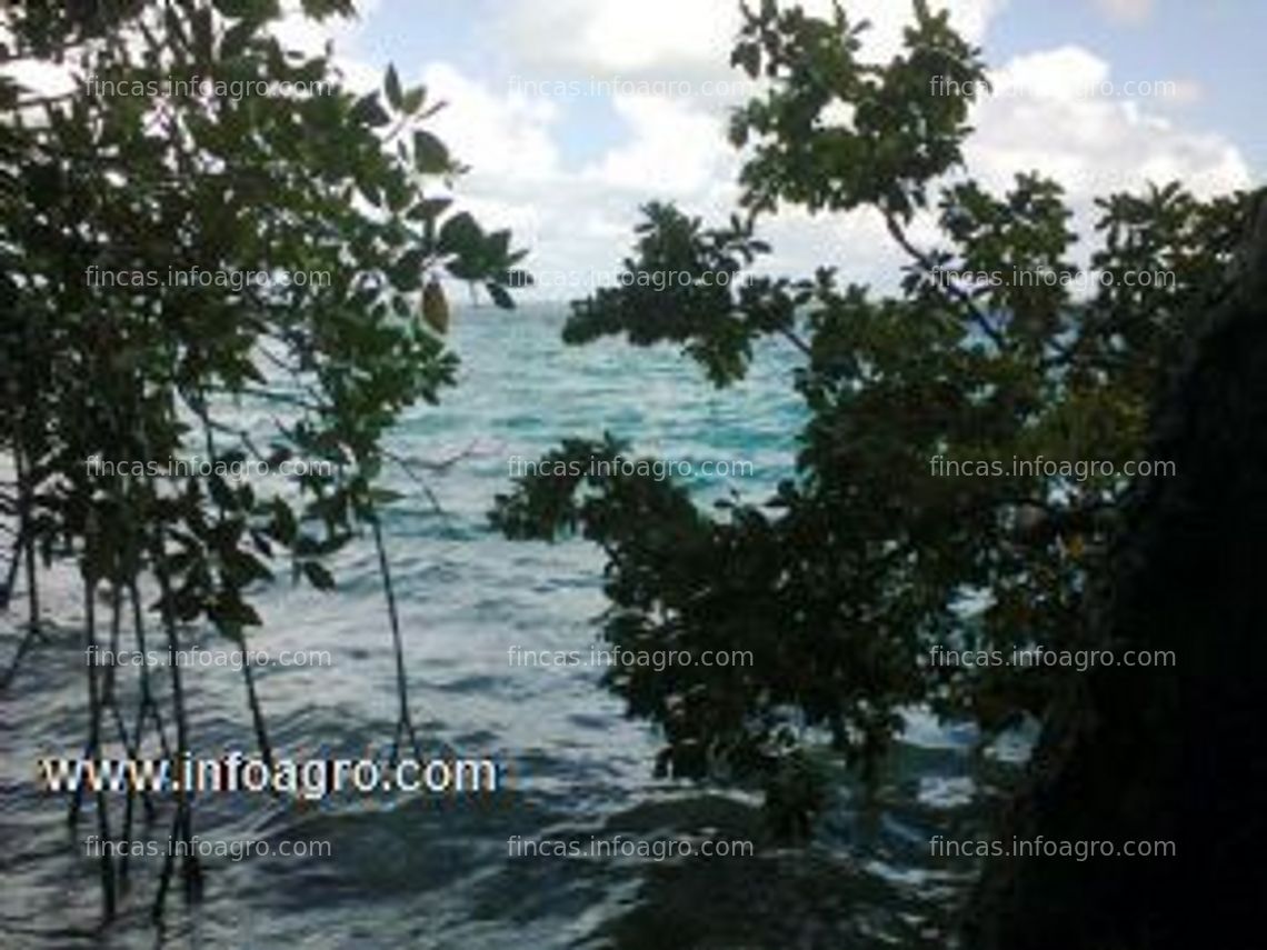 Fotos de A la venta terrenos en orilla de laguna,en quintana roo,mexico