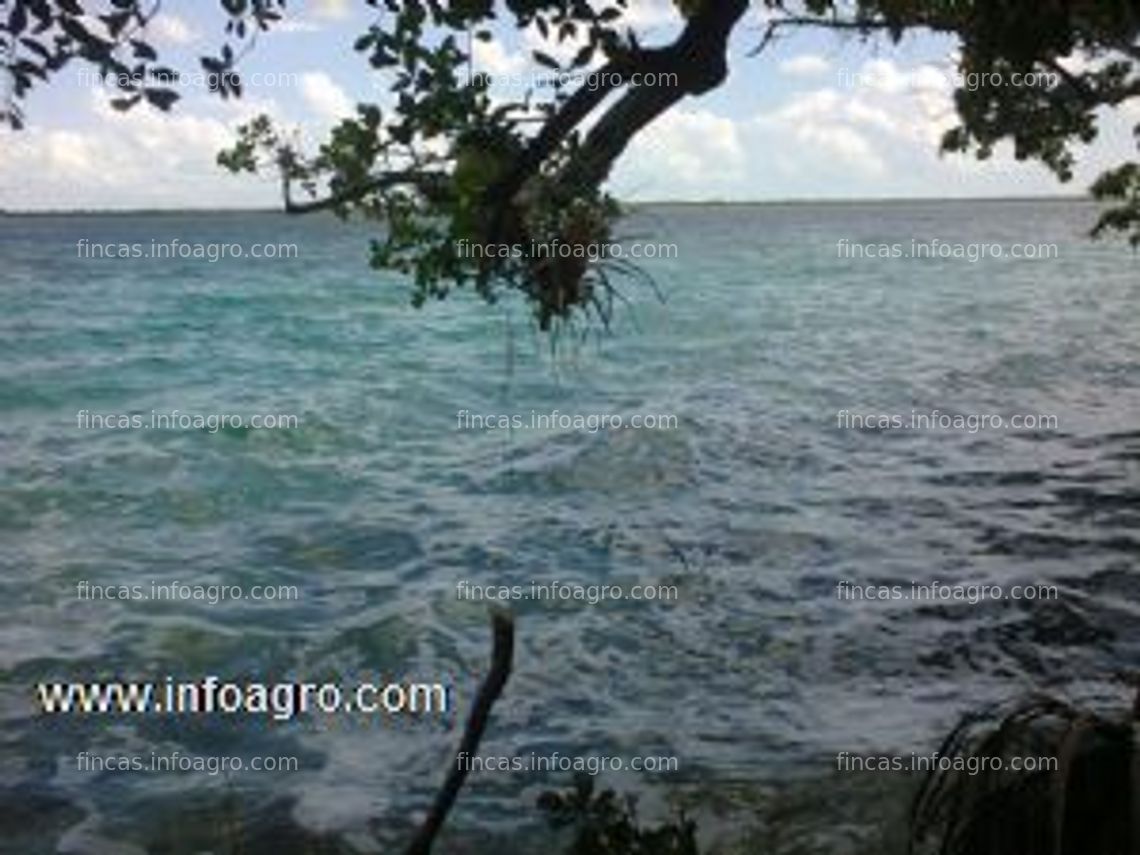 Fotos de A la venta terrenos en orilla de laguna,en quintana roo,mexico