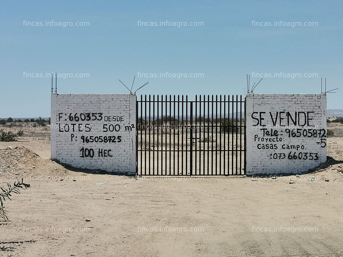 Fotos de Se vende 100 hectareas de terreno con cambio de uso( urbano- industrial )