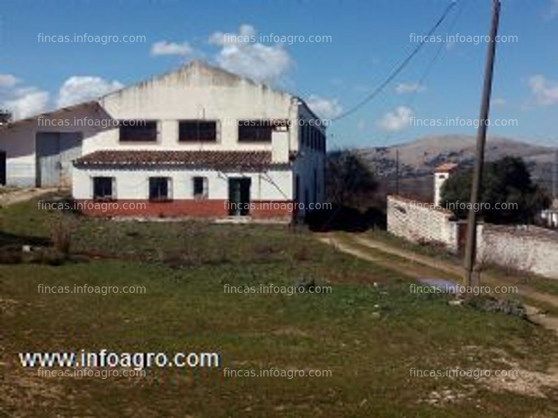 Fotos de En venta  secadero de jamones y terreno con bellotas.