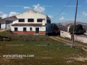 En venta  secadero de jamones y terreno con bellotas.