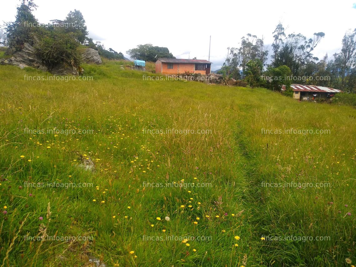 Fotos de Se vende Hermosa Finca! Precio Negociable!! Vereda Belen Ubaque - Cundinamarca 