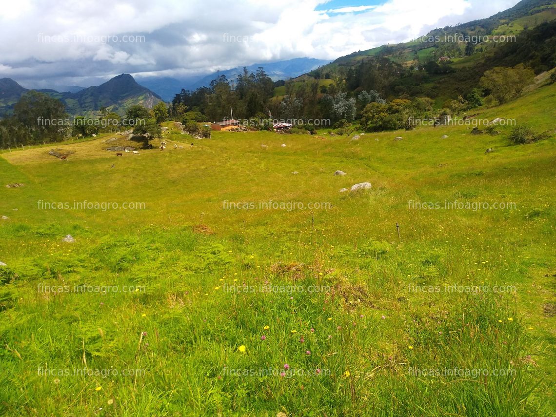 Fotos de Se vende Hermosa Finca! Precio Negociable!! Vereda Belen Ubaque - Cundinamarca 