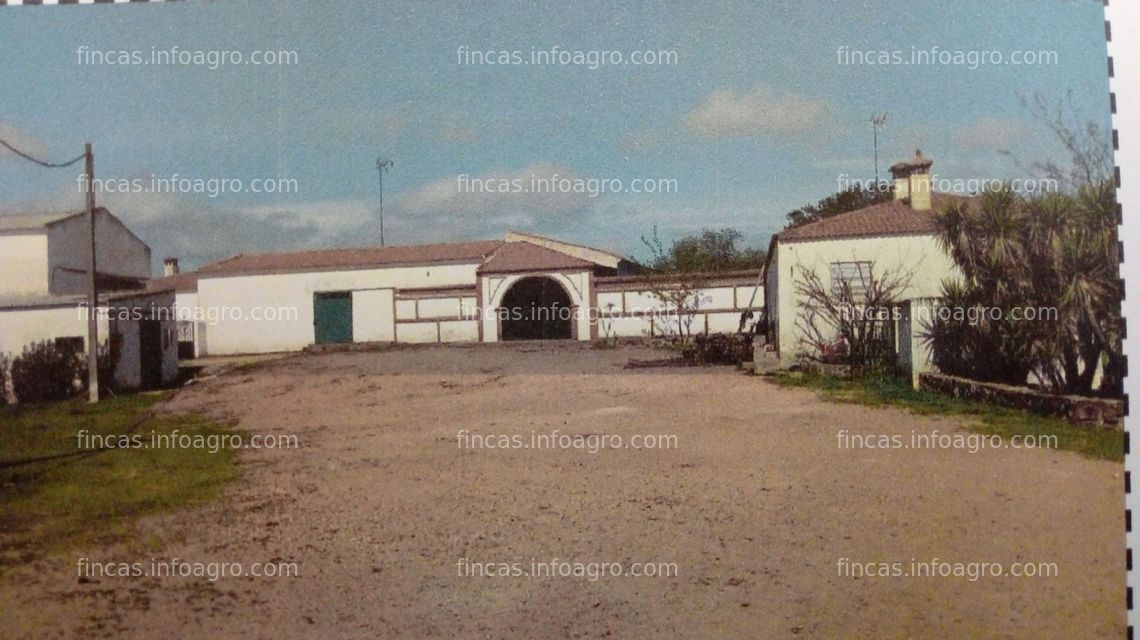 Fotos de En venta  Dehesa de encinas en Paymogo, Huelva
